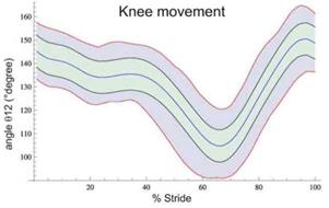 joint angles vs. time (% stride) graphs for the stifle (012) obtained by the mathematical model. Normality bands with mean values (blue line), &plusmn; standard deviation (black line), and &plusmn; minimum and maximum values (pink lines). The green zone represents the normality band.