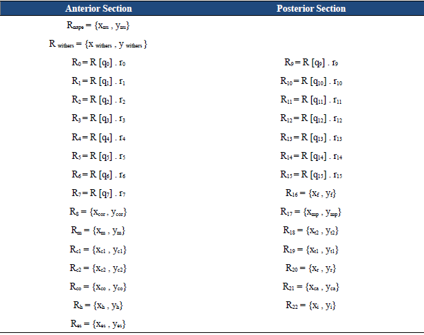 Mathematical proposal for the vectors of the fore and hind limbs employed in the mathematical model (ri are the lengths of the segments)