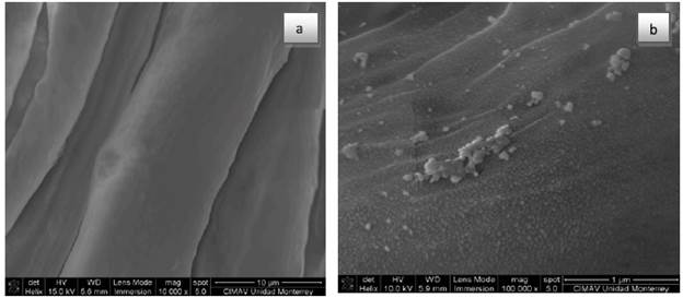 SEM Micrographs a) cotton fabric, b) silver nanoparticles in cotton fabric.