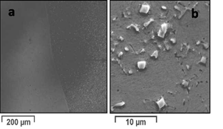 Substrate-coating interface of nanostructured wear plates.