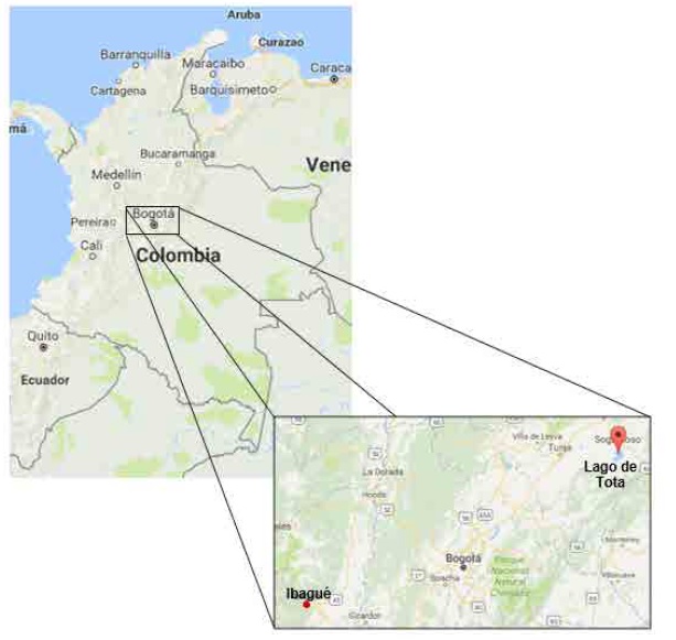 Location of the Lake Tota and the Ibagu&eacute; fan.