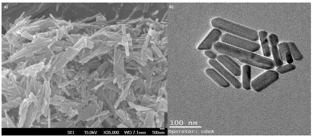 Micrographs of nHA powder. a) FE-SEM and b) TEM.