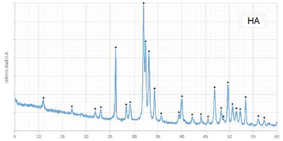 Diffractogram of the HA powder obtained.