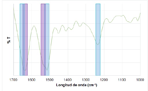 IR spectrum for the SF obtained. Amides I and II for β-sheets structure in light gray, and amides I, II and III for α-helix structure in dark gray.