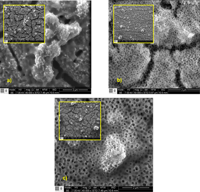 An&aacute;lisis FE-SEM del recubrimiento de hidroxiapatita tratada t&eacute;rmicamente a: a) 400&deg;C, b) 500&deg;C, y, c) 600&deg;C