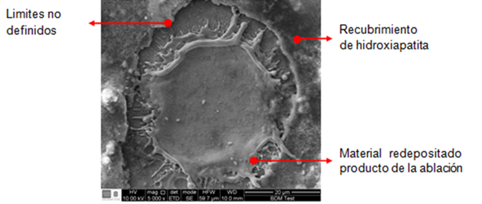 Micrograf&iacute;a SEM sobre el cr&aacute;ter sin inmersi&oacute;n en fluido fisiol&oacute;gico