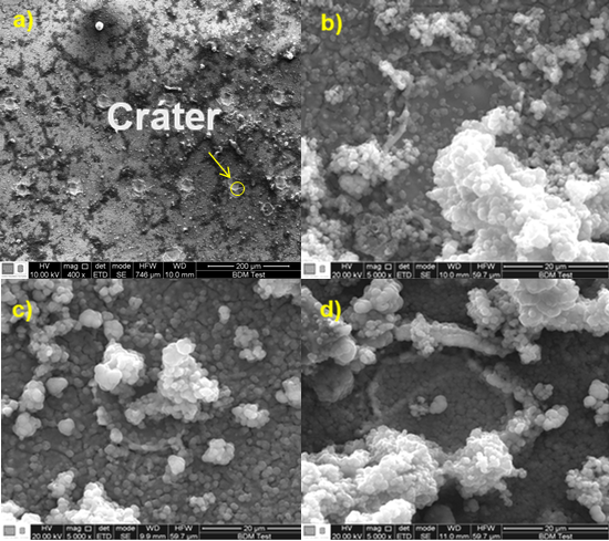 Micrograf&iacute;as SEM: a) morfolog&iacute;a caracter&iacute;stica de los recubrimientos patronados sin inmersi&oacute;n en SBF y b) 400&deg;C, c) 500&deg;C, d) 600&deg;C inmersas en fluido fisiol&oacute;gico SBF
