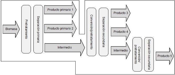  Resumen esquem&aacute;tico de una biorrefiner&iacute;a.
Adaptado de Jong, et al. [94].
