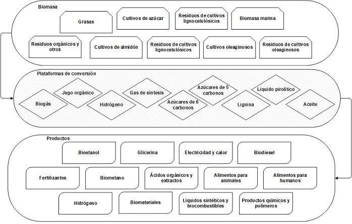 Plataformas de conversi&oacute;n en una
biorrefiner&iacute;a. Adaptado de IEA Bioenergy [9].