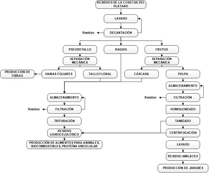 Procesos de
acondicionamiento de los residuos de la agroindustria del pl&aacute;tano.
