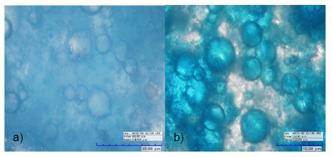 at 980X of the emulsion using dyes of different polar nature. a) Emulsion with hydrophobic dye. b) Emulsion with hydrophilic dye.