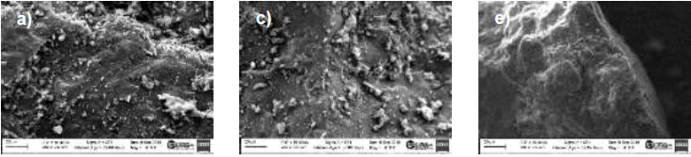 SEM images of three Colombian coal samples. a) and b) anthracite, c) and d) semi-anthracite, e) and f) Bituminous.