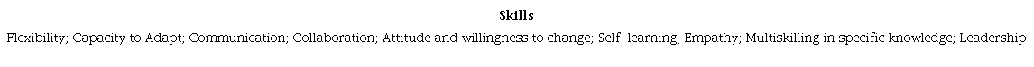 Skills mentioned by the interviewees.