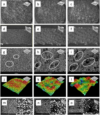 Microstructural captions of the printed samples: bottom surfaces of the printed samples observed optically at 30X and (a) 230 &deg;C-90 &deg;C, (b) 240 &deg;C-90 &deg;C, and (c) 250 &deg;C-90 &deg;C; lateral surfaces of the printed samples observed optically at 30X and (d) 230 &deg;C-90 &deg;C, (e) 240 &deg;C-90 &deg;C, and (f) 250 &deg;C-90 &deg;C; top surfaces of the printed samples observed by SEM at (g) 230 &deg;C-90 &deg;C, (h) 240 &deg;C-90 &deg;C, and (i) 250 &deg;C-90 &deg;C; surface reconstruction of the top surfaces by SEM showing high differences between samples at (j) 230 &deg;C-90 &deg;C, (k) 240 &deg;C-90 &deg;C, and (l) 250 &deg;C-90 &deg;C, and fracture in cross section of the printed samples at (m) 230 &deg;C-90 &deg;C, (n) 240 &deg;C-90 &deg;C, and (o) 250 &deg;C-90 &deg;C.