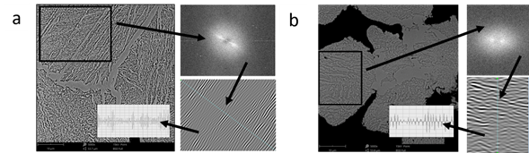 SEM images of the sintered materials: (a) 4340 steel sintered at 1420 &deg;C and (b) 4340 steel sintered at 1300 &deg;C. The black rectangle shows the area for the FFT (Fast Fourier Transform). Afterward, inverse FFT was carried out to highlight the topographical structure and measure the distance between phases.