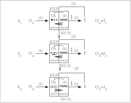 Iteración semiótica que muestra la transmisión de información del “Objeto externo” (input) al “Interpretante” (output) mediatizada por el “sistema de interpretación” (IGUS). Oe: objeto externo, emisor de perturbaciones físicas o “input”. Micro: micro-estados, registro digital, o representación interna de objetos externos. MACRO: macro-estados, registro estructural (análogo). IGUS: sistema de interpretación de las perturbaciones físicas como señales informativas. E: medio ambiente o entorno. Flechas: 1. de Oe al IGUS: efecto causal del objeto externo sobre los micro-estados. 2. Del IGUS a E: acción efectora o “output”. 3. De E al IGUS: restricciones del entorno hacia el IGUS, o retroalimentación. 4. De MACRO a micro: restricciones impuestas por los Macro-estados a los micro-estados, (causalidad descendente). 5. Flecha hacia abajo: selección natural. En una etapa temprana de la iteración t1, hay baja correlación entre micro/Macro-estados y entre Macro-estados/entorno y, por tanto, a “un” registro digital le corresponden “muchos” en modo estructural. El Oe (input) y la acción resultante (output) no se corresponden. En una etapa avanzada de la iteración t2, aumenta la correlación entre micro-estados/Macro-estados y entre Macro-estados/entorno y, por tanto, a algunos registros digitales le corresponden “uno a uno”, algunos registros estructurales. Hay correlación entre el Oe (input) y la acción resultante (output). En una etapa más avanzada de la iteración t3, hay alta correlación entre micro-estados/Macro-estados y entre Macro-estados/entorno, y, por tanto, a “muchos” registros digitales le corresponde “uno” estructural (análogo). Así, se alcanzan un alto grado de correspondencia entre el Oe y la acción resultante, puesto que la información ha sido transferida aunque el potencial interpretativo del objeto externo no se agota. La sucesiva iteración disminuye la incertidumbre sobre el estado Macroscópico del IGUS o la plasticidad de los Macro-estados, a la vez que aumenta el tamaño del registro digital de información, lo cual incrementa la correlación entre micro y Macro-estados por un lado y entre Macro-estados y el medio ambiente por el otro (Andrade 2014a).
