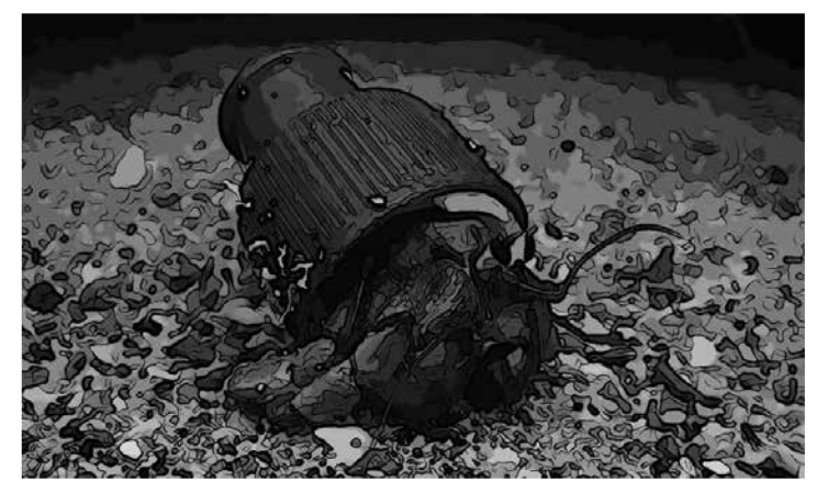 Tapa plástica de botella con tono de vivienda para cangrejo eremita