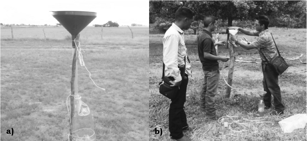 Crecimiento en di&aacute;metro para Tabebuia rosea y din&aacute;mica de la precipitaci&oacute;n para el periodo enero de 2011-julio de 2012