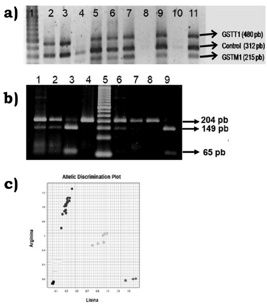 M&eacute;todos de genotipificaci&oacute;n por PCR. A) PCR m&uacute;ltiple para las deleciones en los genes GSTM1 y GSTT1. a) Las muestras de los carriles 5, 6, 7 9 y 11 son positivos para ambos genes, las muestras de los carriles 2 y 3 son positivas para GSTT1, la muestra del carril 4 es negativa para ambos genes y las muestras de los carriles 8 y 10 no amplificaron, tampoco amplific&oacute; el control interno. b) PCR &ndash; RFLP&rsquo;s del polimorfismo CYP1A1 Ile462Val. Las muestras de los carriles 1, 2, 3 y 6 son heter&oacute;cigas con genotipo Ile/Val, las muestras del carril 7 y 8 son hom&oacute;cigas Val/Val y la muestra del carril 9 es hom&oacute;ciga Ile/Ile, el control negativo se observa en el carril 4. c) PCR tiempo real para la genotipificaci&oacute;n del polimorfismo AhR Arg554Lys. Las muestras en el eje X corresponden a hom&oacute;cigos Lys/Lys, las muestras en el eje Y corresponden a hom&oacute;cigos Arg/Arg, mientras que los intermedios corresponden a los heter&oacute;cigos Arg/Lys, la asignaci&oacute;n de genotipos es autom&aacute;tica, seg&uacute;n el fluor&oacute;foro detectado durante la reacci&oacute;n.