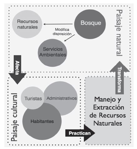 Interacciones del sistema socio-ecol&oacute;gico en el sitio de estudio.