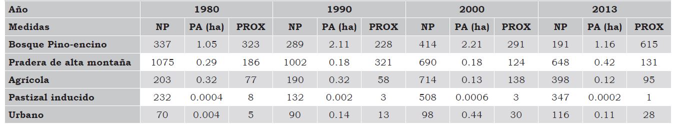 M&eacute;tricas del paisaje a nivel de clase en 1980, 1990, 2000 y 2013 en la zona centro de la regi&oacute;n Izta-Popo.