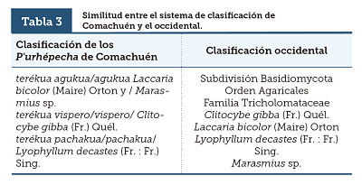 Similitud entre el sistema de clasificaci&oacute;n de Comachu&eacute;n y el occidental