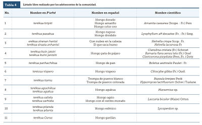 Listado libre realizado por los adolescentes de la comunidad.
			
		  
		