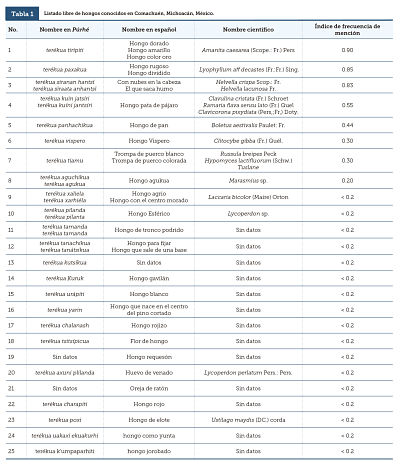 Listado libre de hongos conocidos en Comachu&eacute;n, Michoac&aacute;n, M&eacute;xico