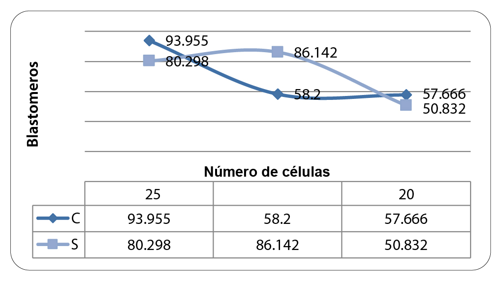 Figura 1