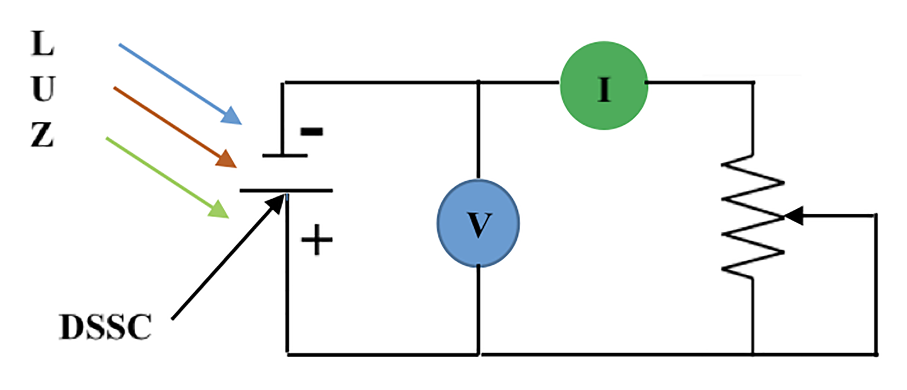 Figura 3