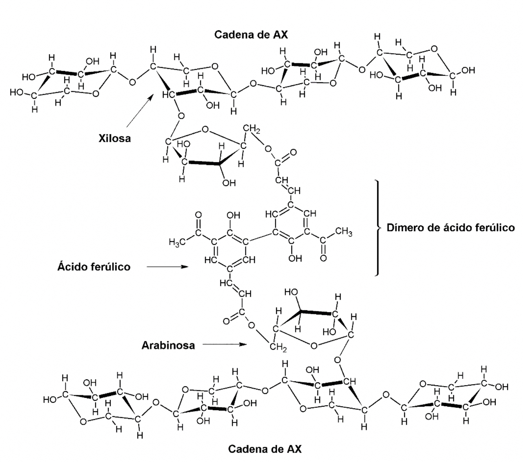 Figura 2