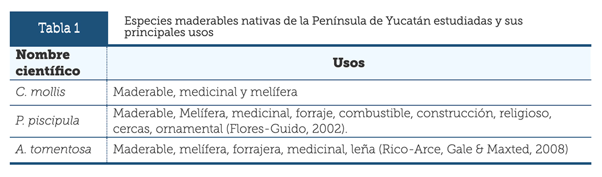 Especies maderables nativas de la Península de Yucatán estudiadas y sus principales usos