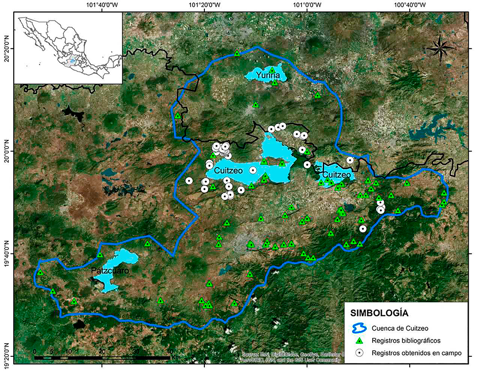 Figura 1