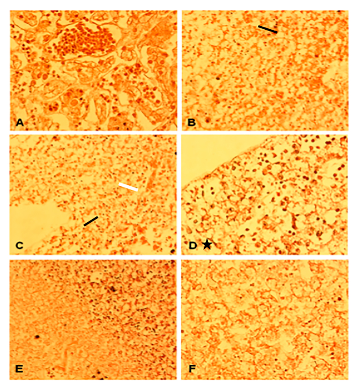 Figura 3