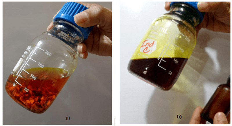 Elaboración del extracto hidroalcohólico de cúrcuma al inicio (a) y después de 24 horas de extracción (b)