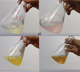 Viraje de fenolftaleína y viraje de EHC en la titulación de jugo fresco de piña.