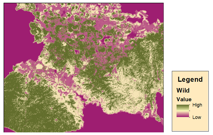 Distribution of wild bee (Halictidae, Vespidae, Syrphidae, and Calliphoridae) abundance in Michoacan, Mexico.