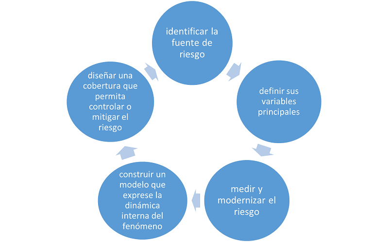Gesti&oacute;n de riesgo como proceso.