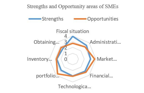 Perception of SME strengths and opportunity areas