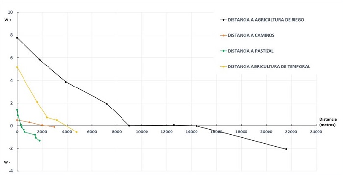 Pesos de evidencia calculados para las variables distancia a agricultura de riego, distancia a agricultura de temporal, distancia a pastizal y distancia a caminos. En el eje de las ordenadas se representa el peso de evidencia, que va de un valor positivo (w+) a un peso negativo (w-). En el eje de las abscisas tenemos la distancia euclidiana en metros a los usos de suelo ya referidos.
