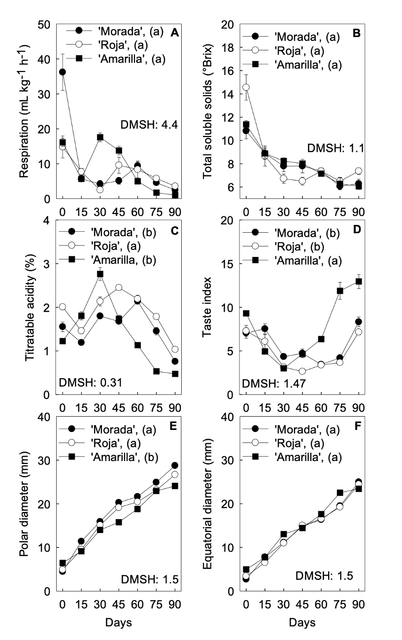 Changes in the physical and chromatic parameters of S. purpurea L. (ecotypes Morada, Roja, and Amarilla) from fruit set to physiological maturity. Each point represents the average of 6-10 measurements &plusmn; SE.