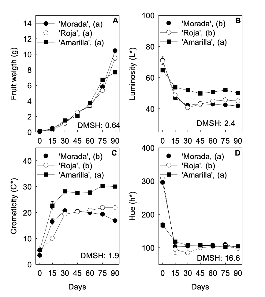 Changes in the physiological and chemical parameters of S. purpurea L. (ecotypes Morada, Roja, and Amarilla) from fruit set to physiological maturity. Each point represents the average of 6-10 measurements &plusmn; SE.