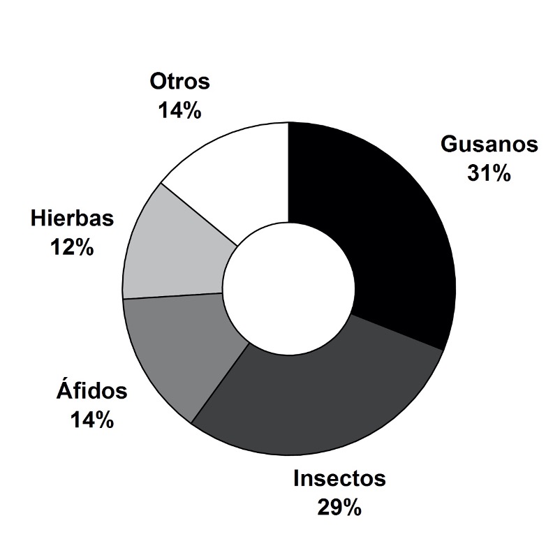 Tipos de plagas identificadas por agricultores y proveedores en la zona de estudio.