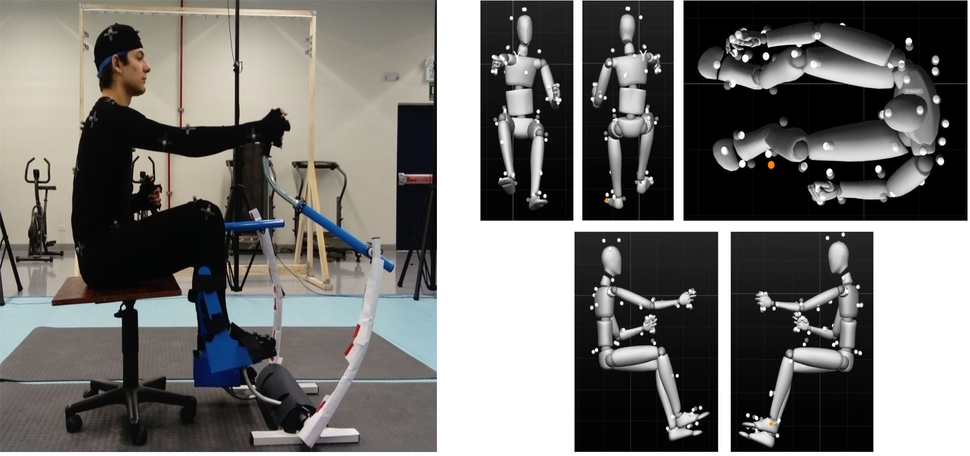 Captura de movimiento: vistas frontal, posterior, superior, derecha e izquierda.