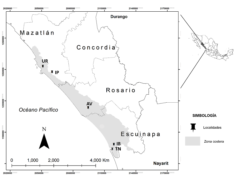 Ubicaci&oacute;n geogr&aacute;fica del &aacute;rea de estudio en tres municipios (Mazatl&aacute;n, El Rosario y Escuinapa) al sur de Sinaloa, M&eacute;xico. La zona costera fue delimitada por la cota de 50 m. s. n. m.
