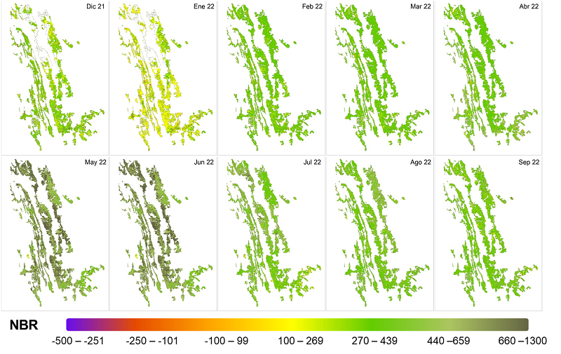&Iacute;ndice normalizado de severidad de &aacute;reas quemadas (dNBR) en la zona ca&ntilde;era de San Luis Potos&iacute;.
