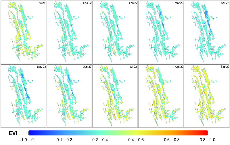 &Iacute;ndice de vegetaci&oacute;n mejorado (EVI) en la zona ca&ntilde;era de San Luis Potos&iacute;.