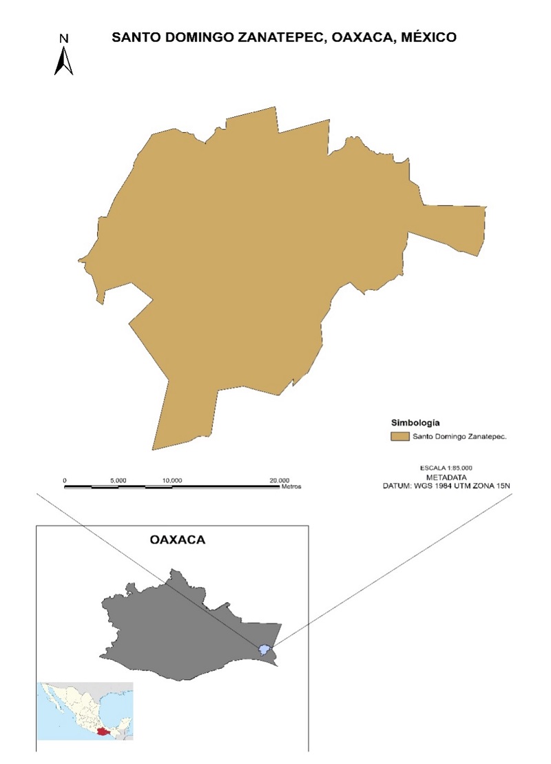 Ubicaci&oacute;n geogr&aacute;fica del &aacute;rea de estudio: Santo Domingo Zanatepec, Oaxaca.