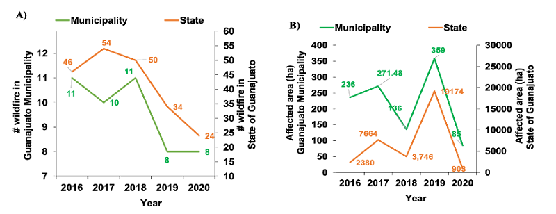 a) Wildfires and b) Affected areas by wildfires in both the state and municipality of Guanajuato.