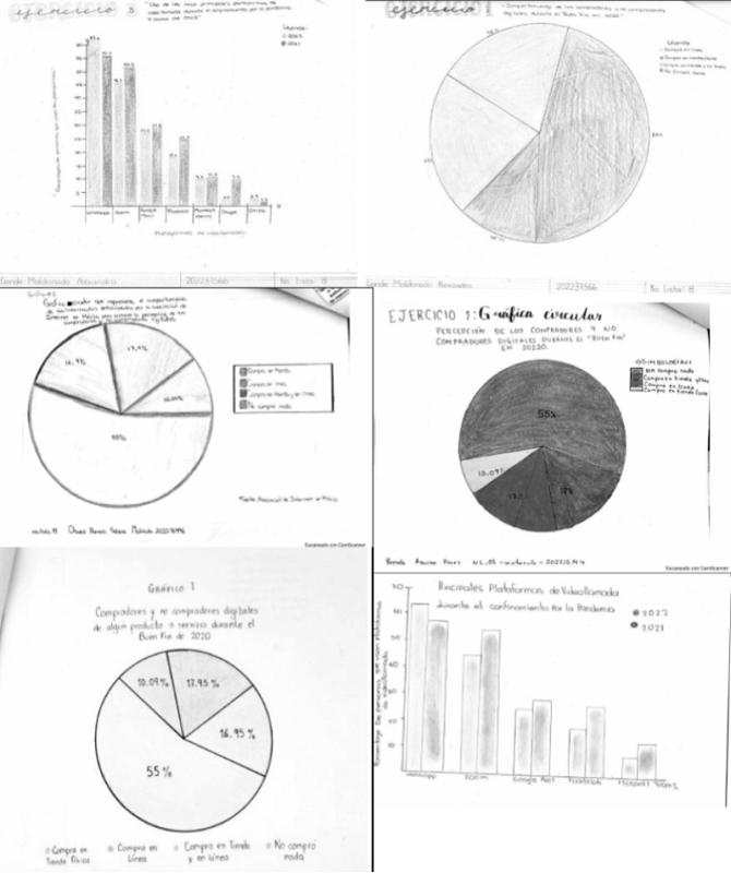Ejemplos de gráficos adecuados desarrollados por los estudiantes.
